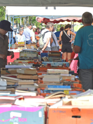 Livres en Seine